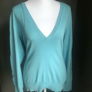 Banana republic light blue v-neck sweater